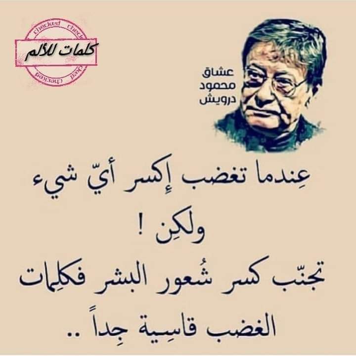 Hanine Hana_y1JW_