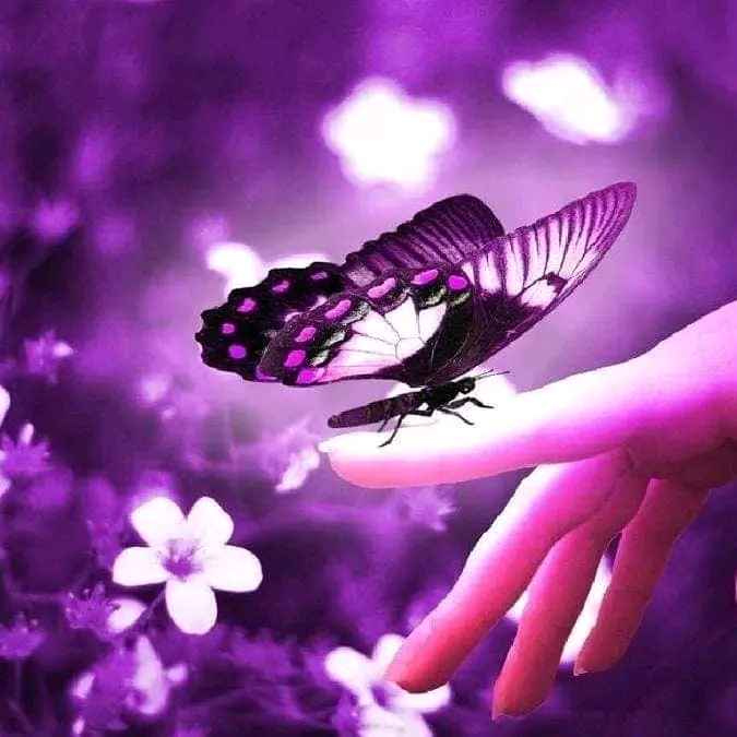 Nina Saadi_Kp44d