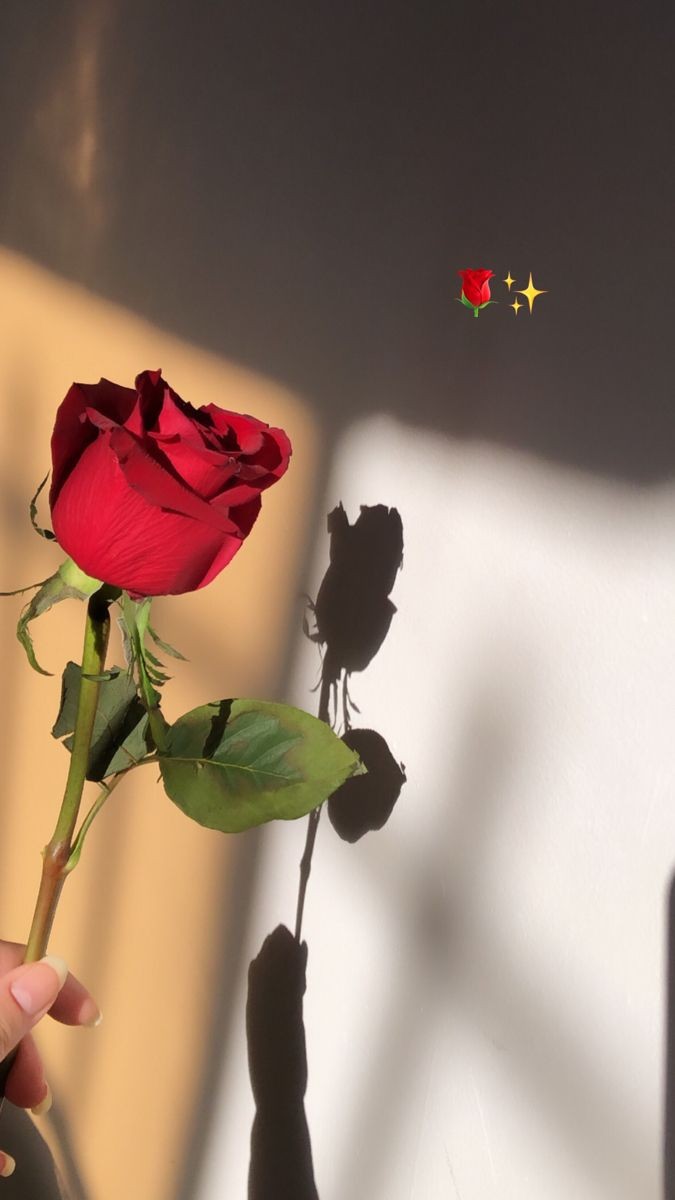 Sarah Sa_8PGKX