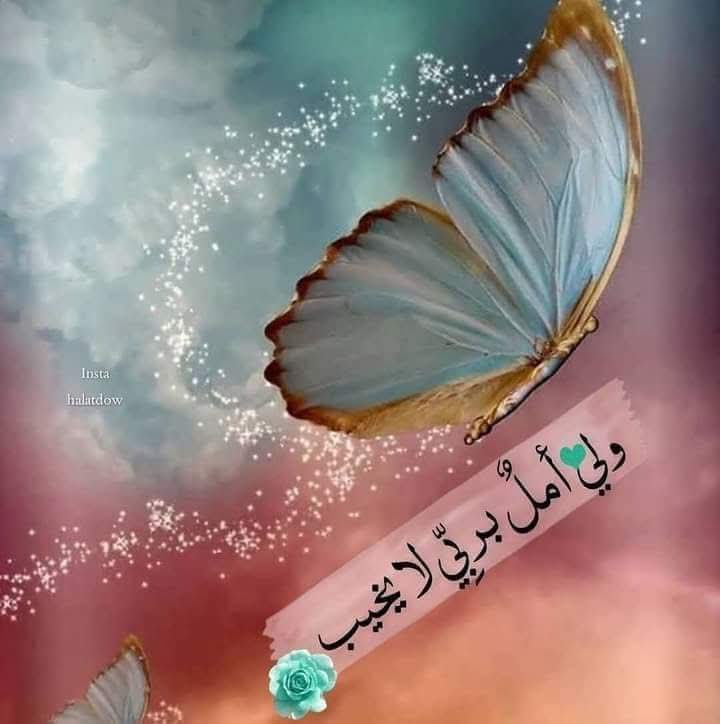 Ben salem Touta_kUOOw