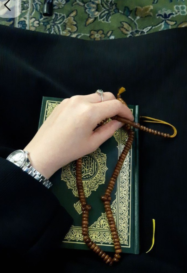 Beautiful Rose_ymsHT