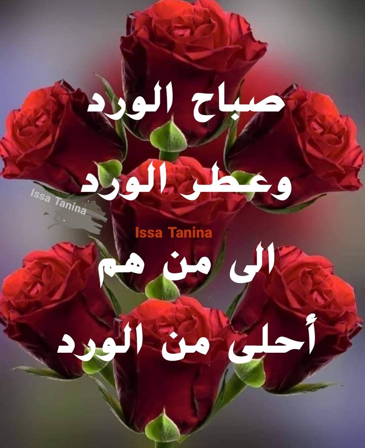 Zine Eddine Boudella_U626Q